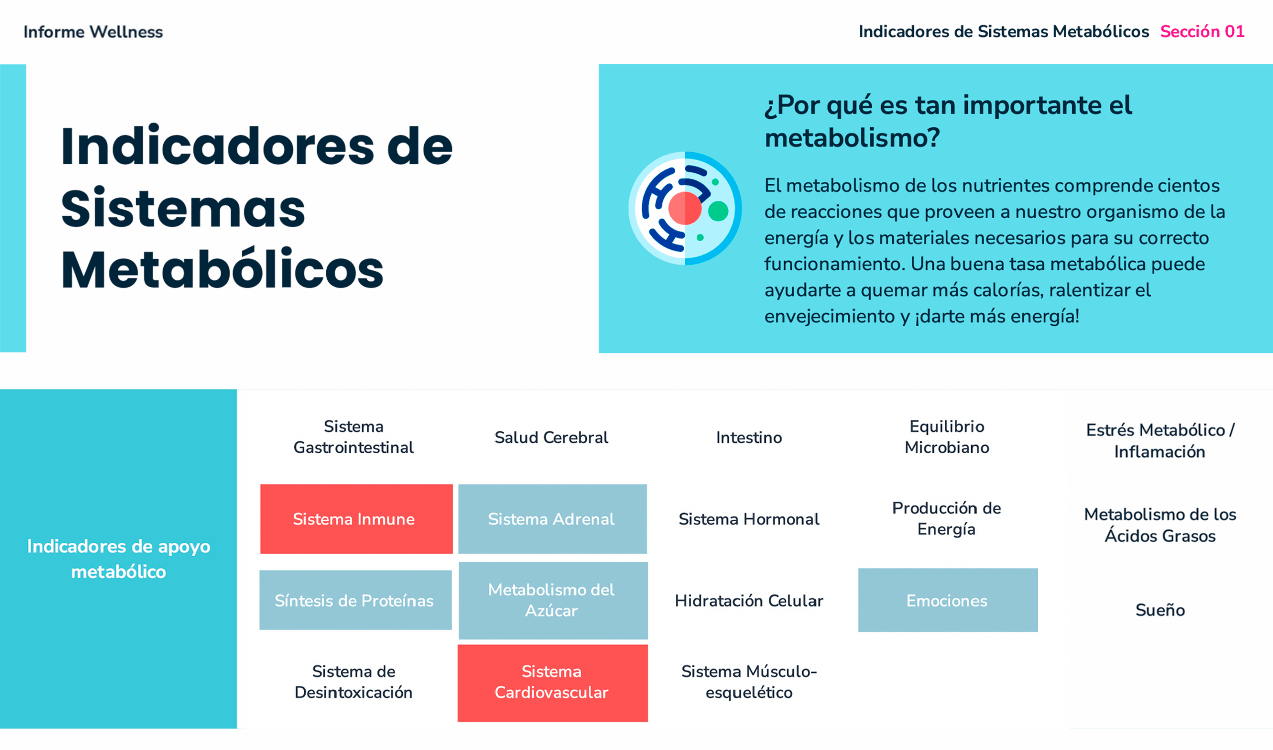 Caso1-DrJorgeBerroa-Antes2-3-scaled-
