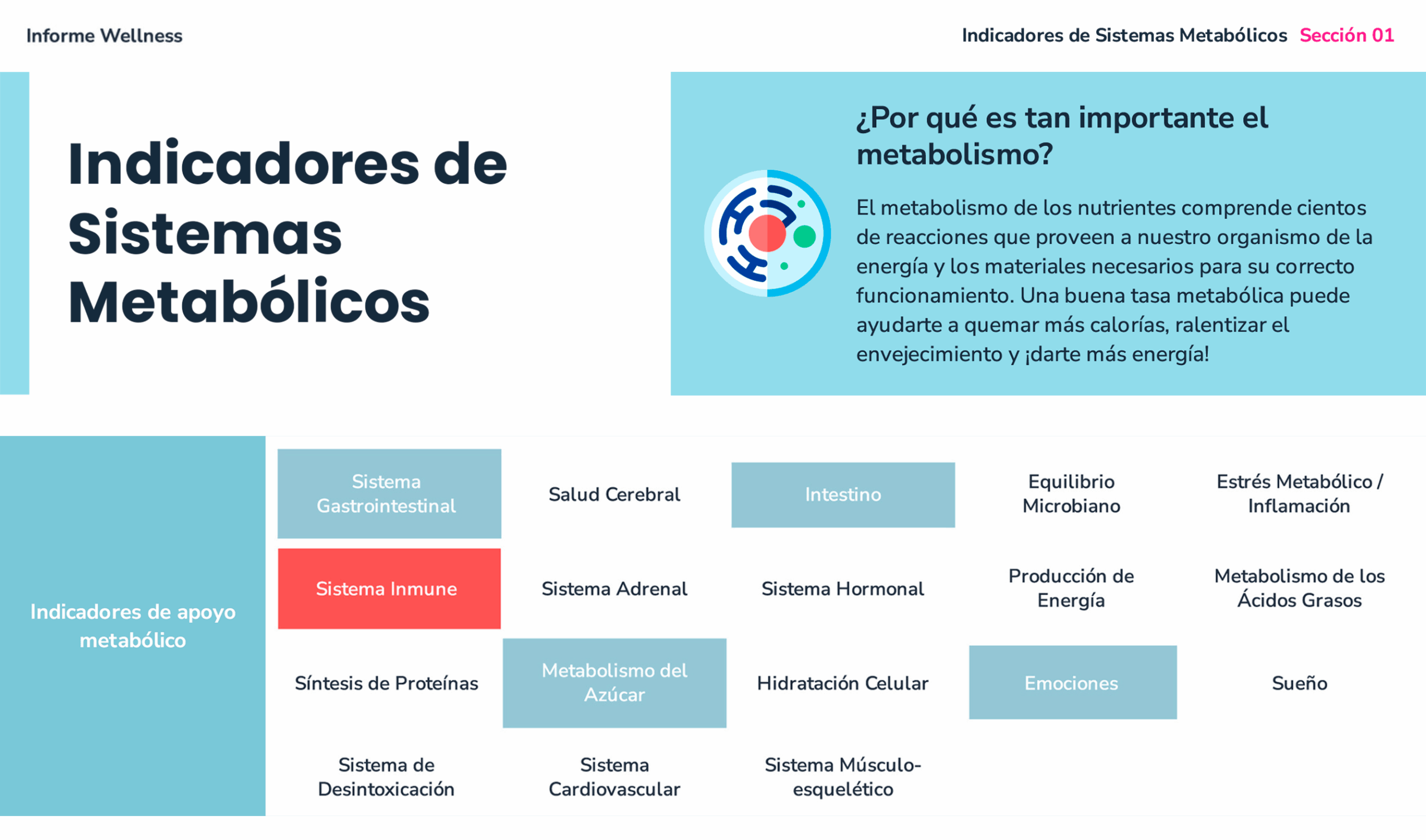 Caso1-DrJorgeBerroa-Antes2