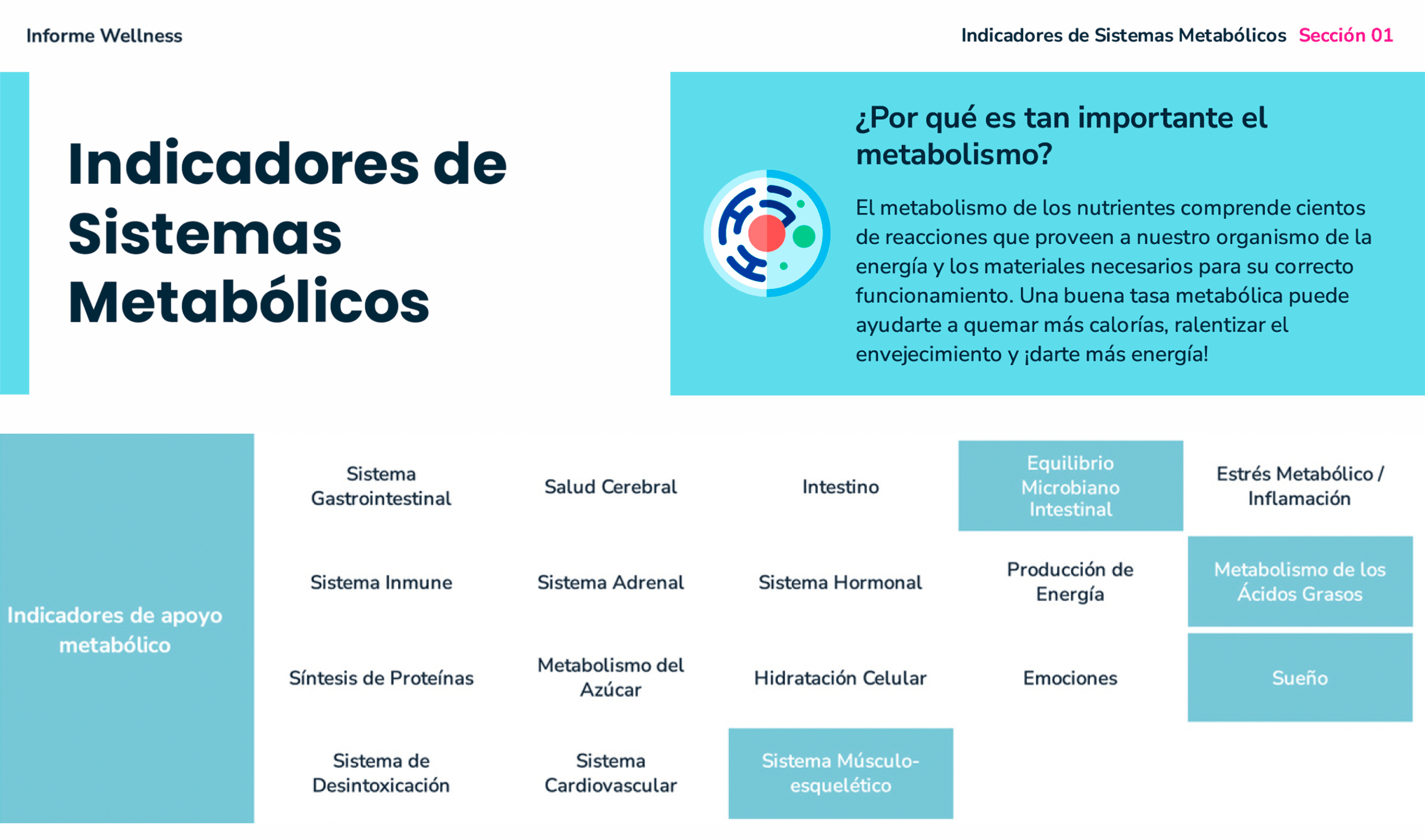 Caso2-Antes-Metabolismo